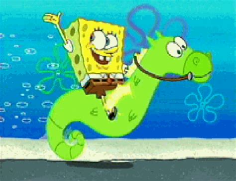 spongebob seahorse|spongebob seahorse name.